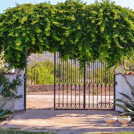 Basilena
